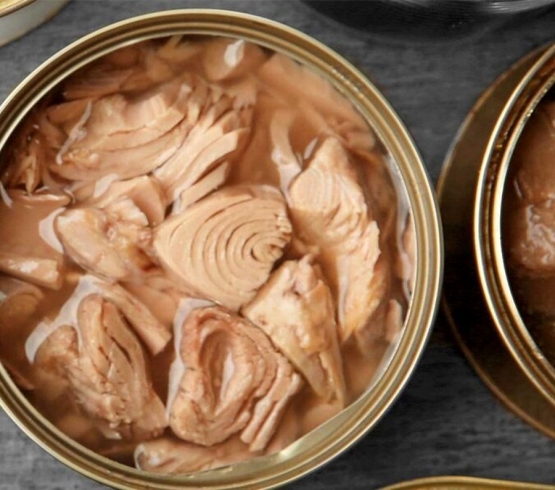 tuna fish nature