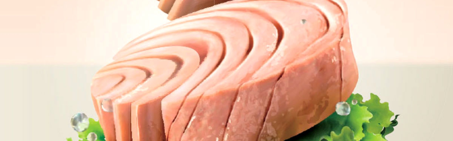 ماهی مخصوص تن ماهی چیست ؟